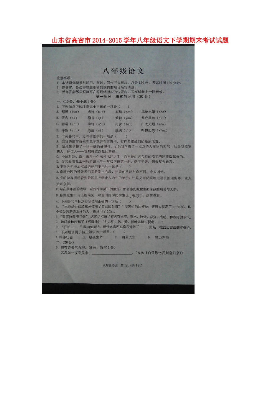 山东省高密市 八年级语文下学期期末考试试卷苏教版试卷_第1页