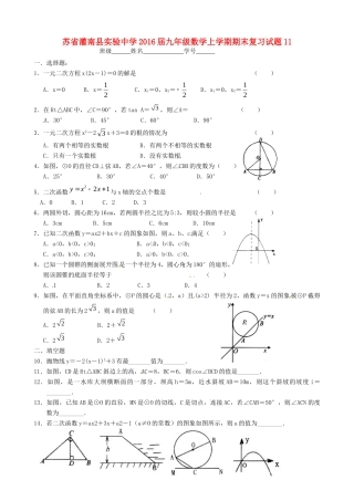 九年级数学上学期期末复习试卷11 苏科版试卷