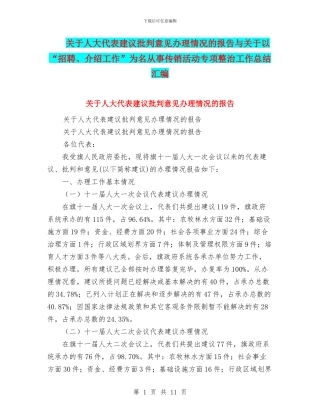 关于人大代表建议批评意见办理情况的报告与关于以“招聘、介绍工作”为名从事传销活动专项整治工作总结汇编