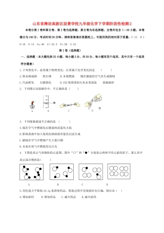 九年级化学下学期阶段性检测2 新人教版试卷