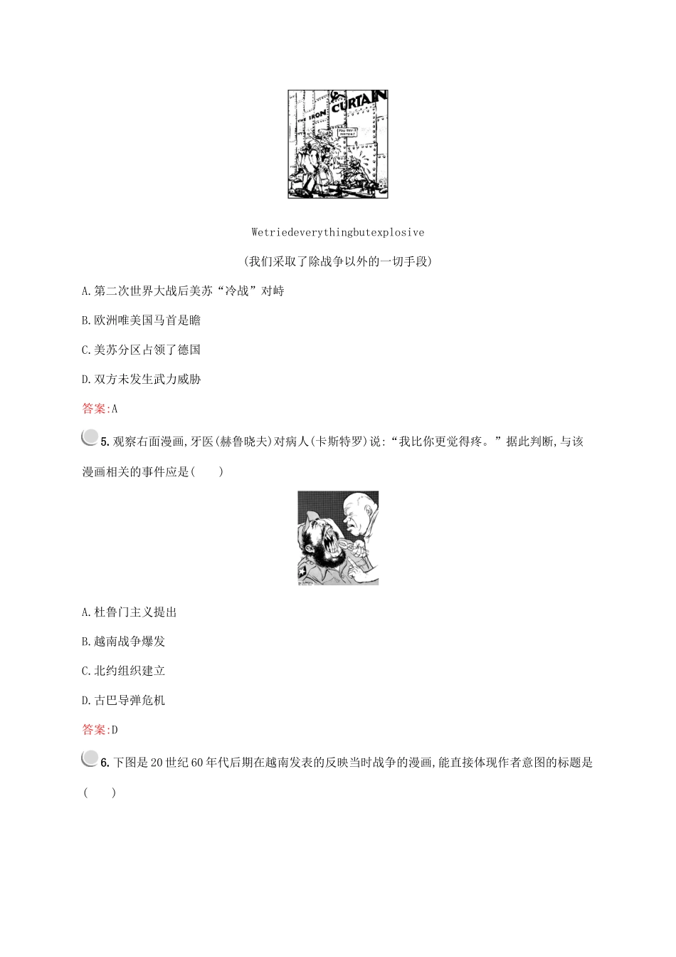 高中历史 第八单元 当今世界政治格局的多极化趋势 第25课 两极世界的形成练习（含解析）新人教版必修1-新人教版高一必修1历史试题_第2页