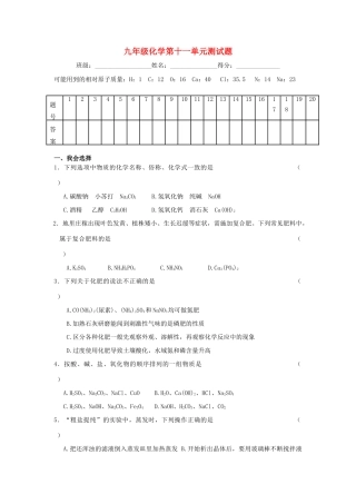 九年级化学下册 第十一单元 盐 化肥测试(新版)新人教版试卷