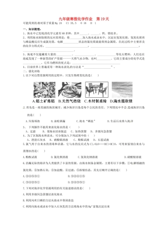 九年级化学上学期寒假作业 第19天 鲁教版试卷