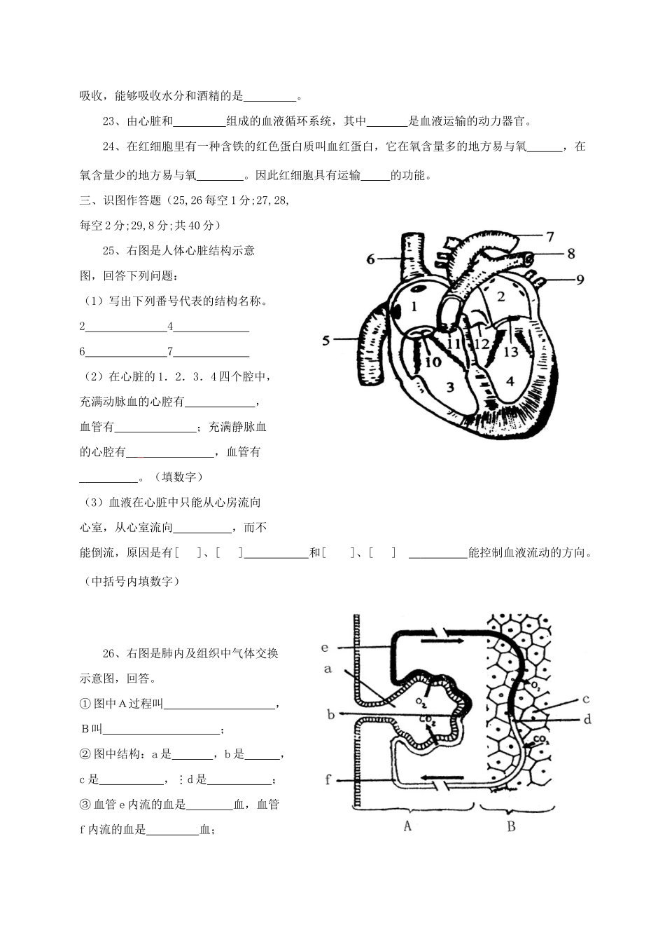 四川省简阳市养马学区七年级生物下学期期中试卷_第3页