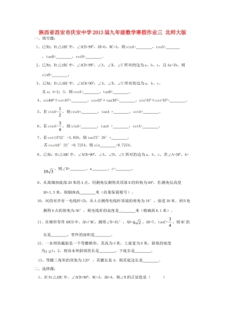 九年级数学寒假作业三 北师大版试卷