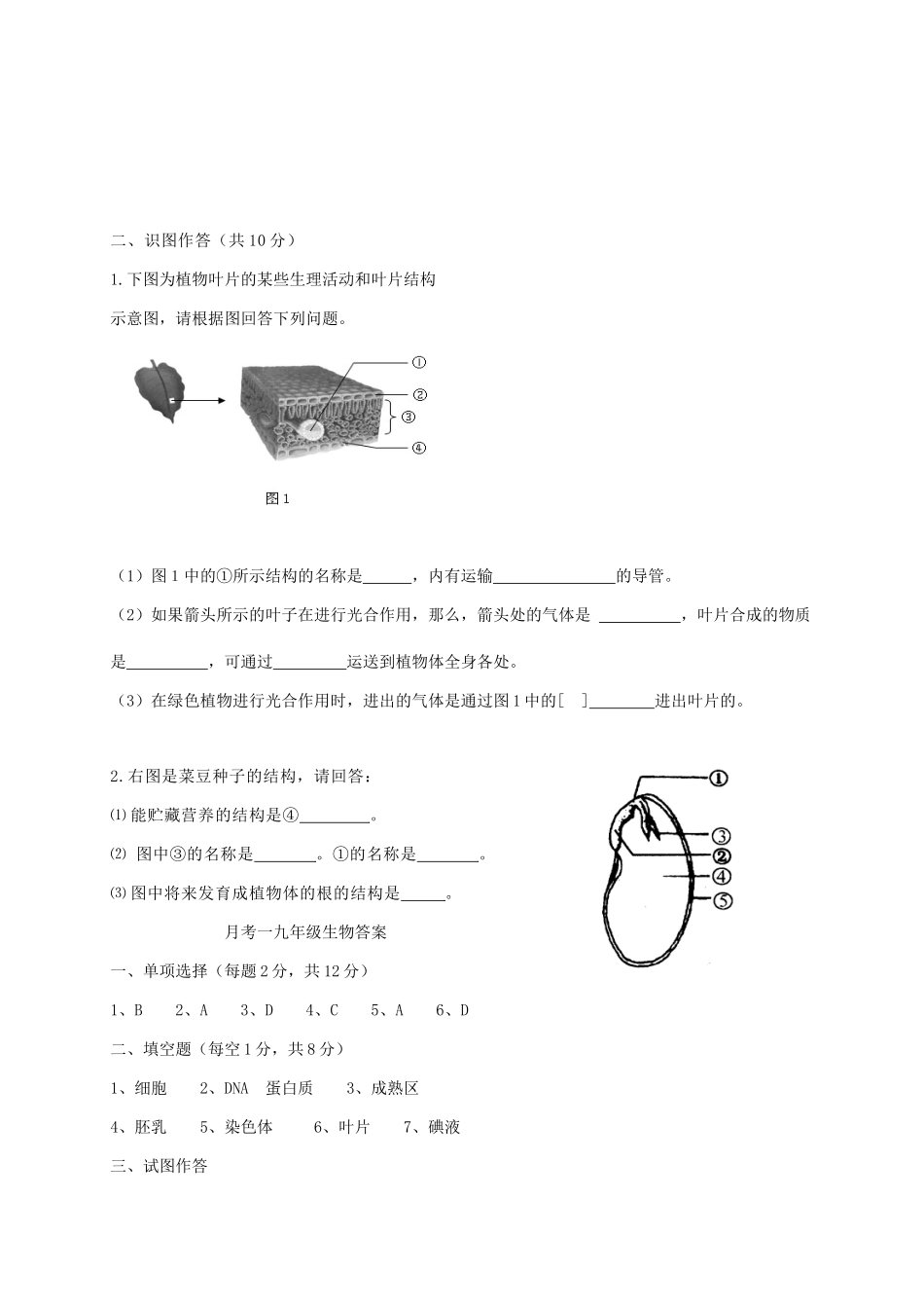 九年级生物下学期第一次月考试卷_第2页