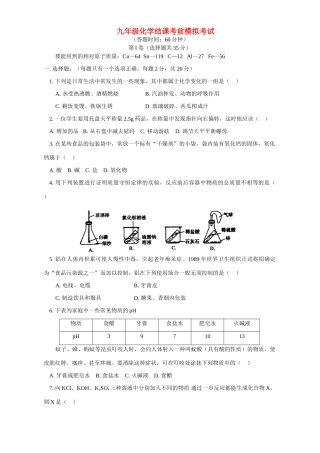 九年级化学结课考前模拟考试试卷