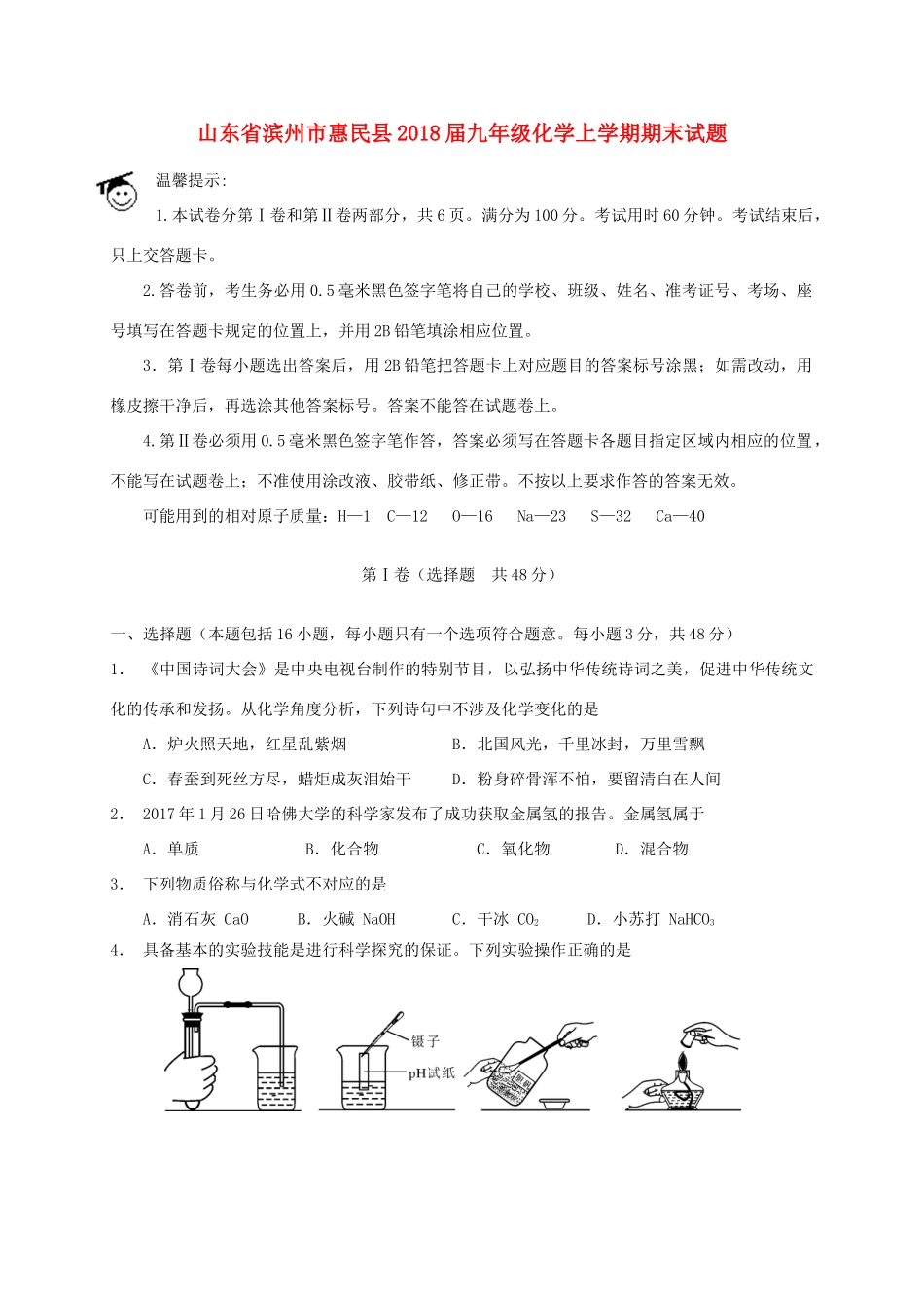 山东省滨州市惠民县九年级化学上学期期末试卷 新人教版试卷_第1页