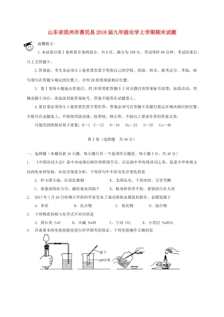 山东省滨州市惠民县九年级化学上学期期末试卷 新人教版试卷
