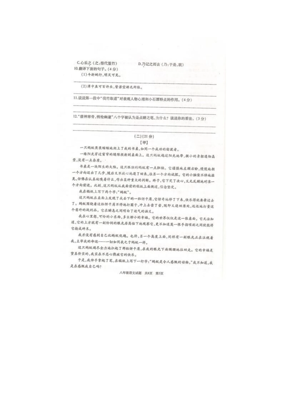 山东省滕州市八年级语文上学期期中试卷北师大版试卷_第3页