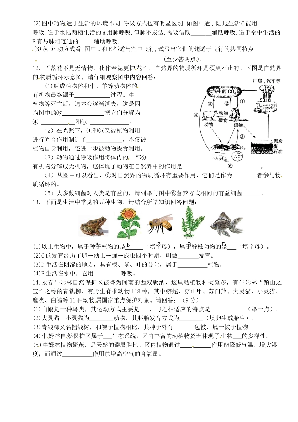 九年级下册 专题训练七 生物多样性及其保护 新人教版试卷_第2页