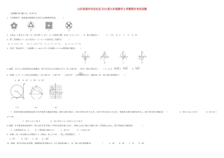 山东省滨州市沾化区九年级数学上学期期末考试试卷 新人教版试卷