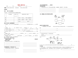 九年级化学 专题六 酸碱盐复习试卷 鲁教版五四制试卷