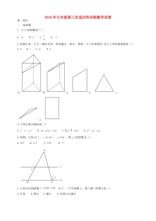 九年级数学第三次适应性训练试卷试卷