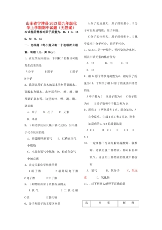 山东省宁津县九年级化学上学期期中试卷试卷