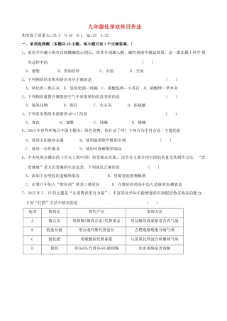 九年级化学下学期双休日作业试卷
