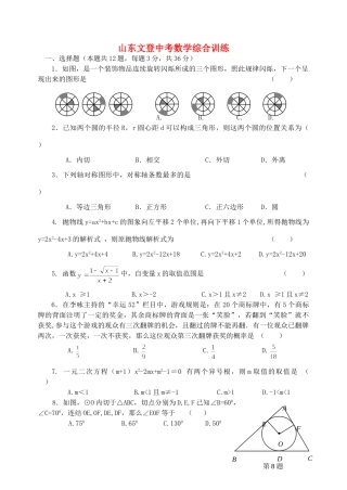 山东文登中考数学综合训练 北师大版试卷