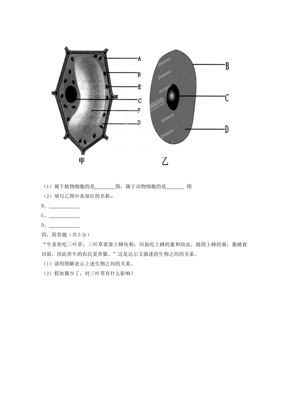安徽省怀远县七年级生物上学期期中考试试卷 新人教版试卷_第3页