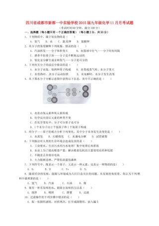 九年级化学11月月考试卷(无答案) 新人教版试卷