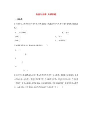 中考物理总复习 电流与电路专项训练试卷