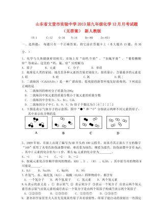 山东省文登市九年级化学12月月考试卷 新人教版试卷