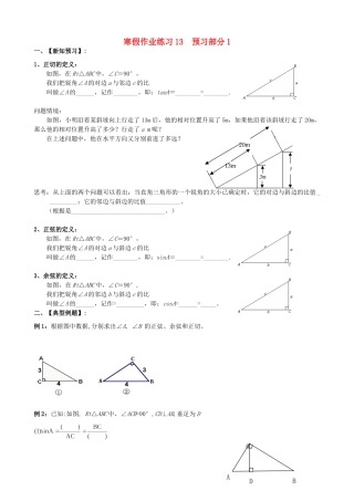 九年级数学寒假作业试卷(13) 新人教版试卷