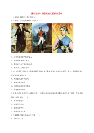 九年级历史上册 第五单元 殖民扩张与殖民地人民的抗争 16(殖民地人民的抗争)课时达标 新人教版试卷