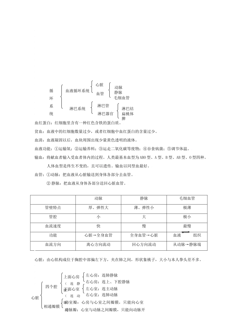 中考生物 知识点汇总及复习题 人教新课标版试卷_第2页