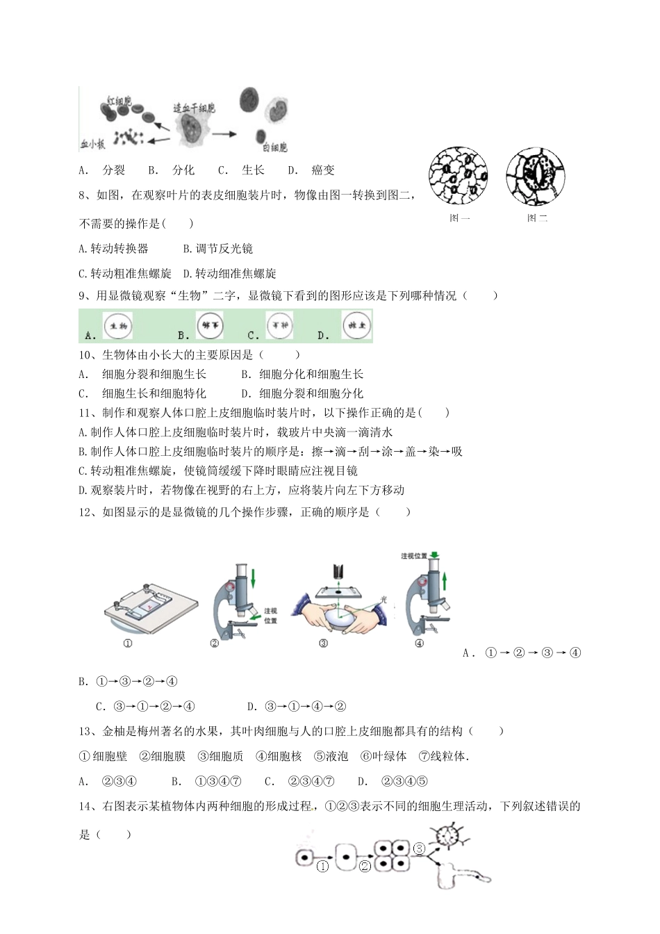 山东省滨州市博兴县七年级生物上学期期中试卷 济南版试卷_第2页