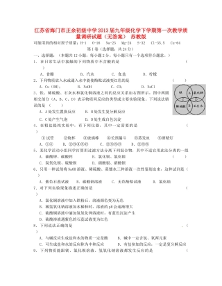 九年级化学下学期第一次教学质量调研试卷 苏教版试卷