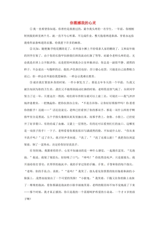 中考语文阅读题复习 你震撼我的心灵试卷