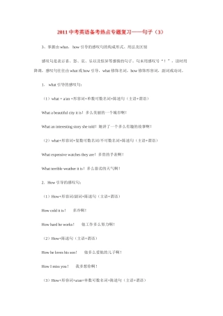 中考英语 备考热点专题复习 句子(3)试卷