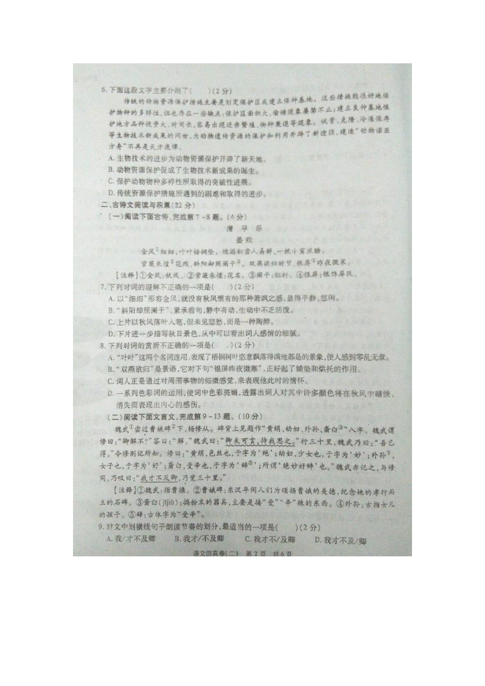 中考语文仿真试卷(二)试卷_第2页