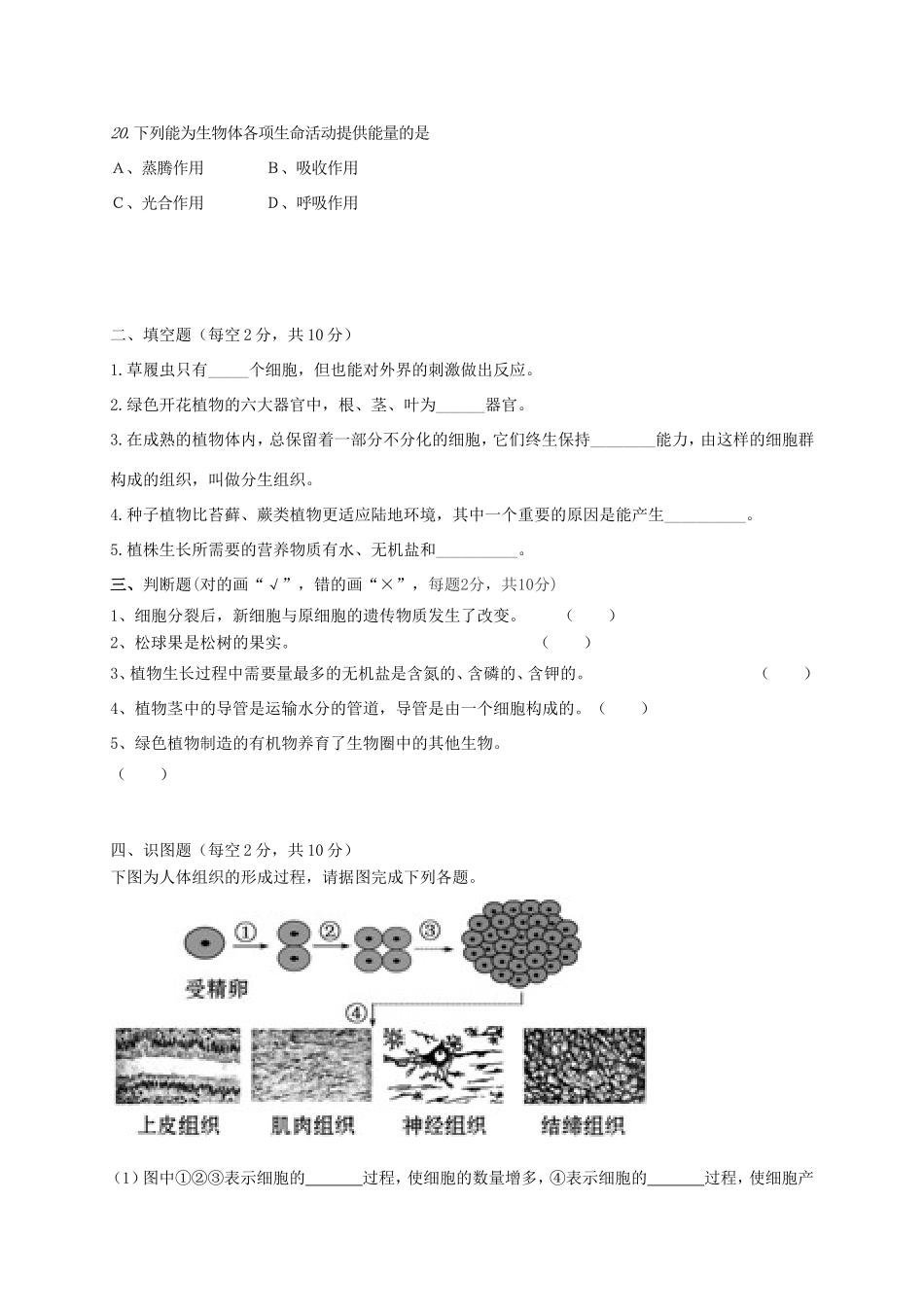 山西省大同市矿区七年级生物上学期期末考试试卷 新人教版试卷_第3页