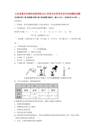 初中化学学生学业考试模拟试题(无答案) 试题