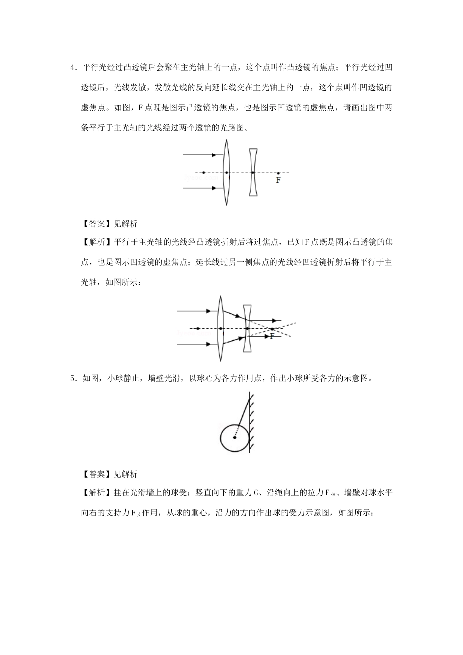 中考物理总复习尖子生必刷题特训 06 作图题含解析)试卷_第3页