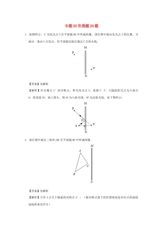 中考物理总复习尖子生必刷题特训 06 作图题含解析)试卷