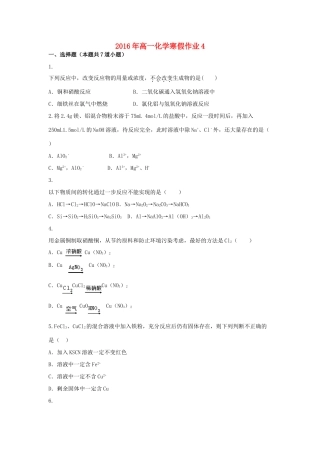 山东省高一化学寒假作业4 新人教版必修1-新人教版高一必修1化学试题
