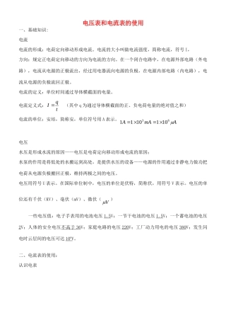 中考物理专题复习 电压表和电流表的使用试卷