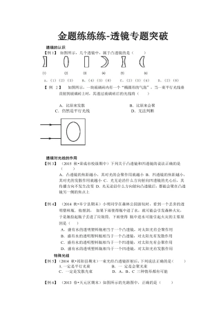 中考物理一轮复习 金题练练看 透镜(pdf)试卷