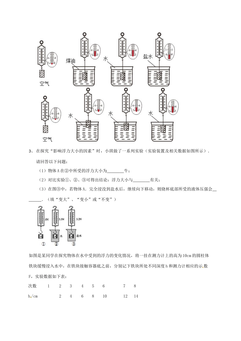 吉林省吉林市中考物理总复习 浮力实验试卷3 新人教版试卷_第2页