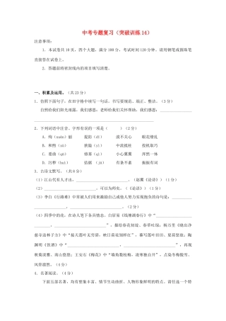 中考语文专题复习百套卷突破训练(14)试卷