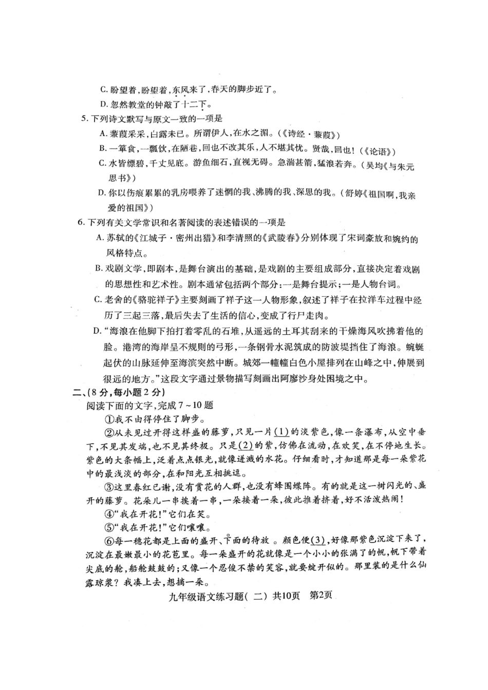 山东省泰安市岱岳区九年级语文第三次模拟试卷试卷_第2页
