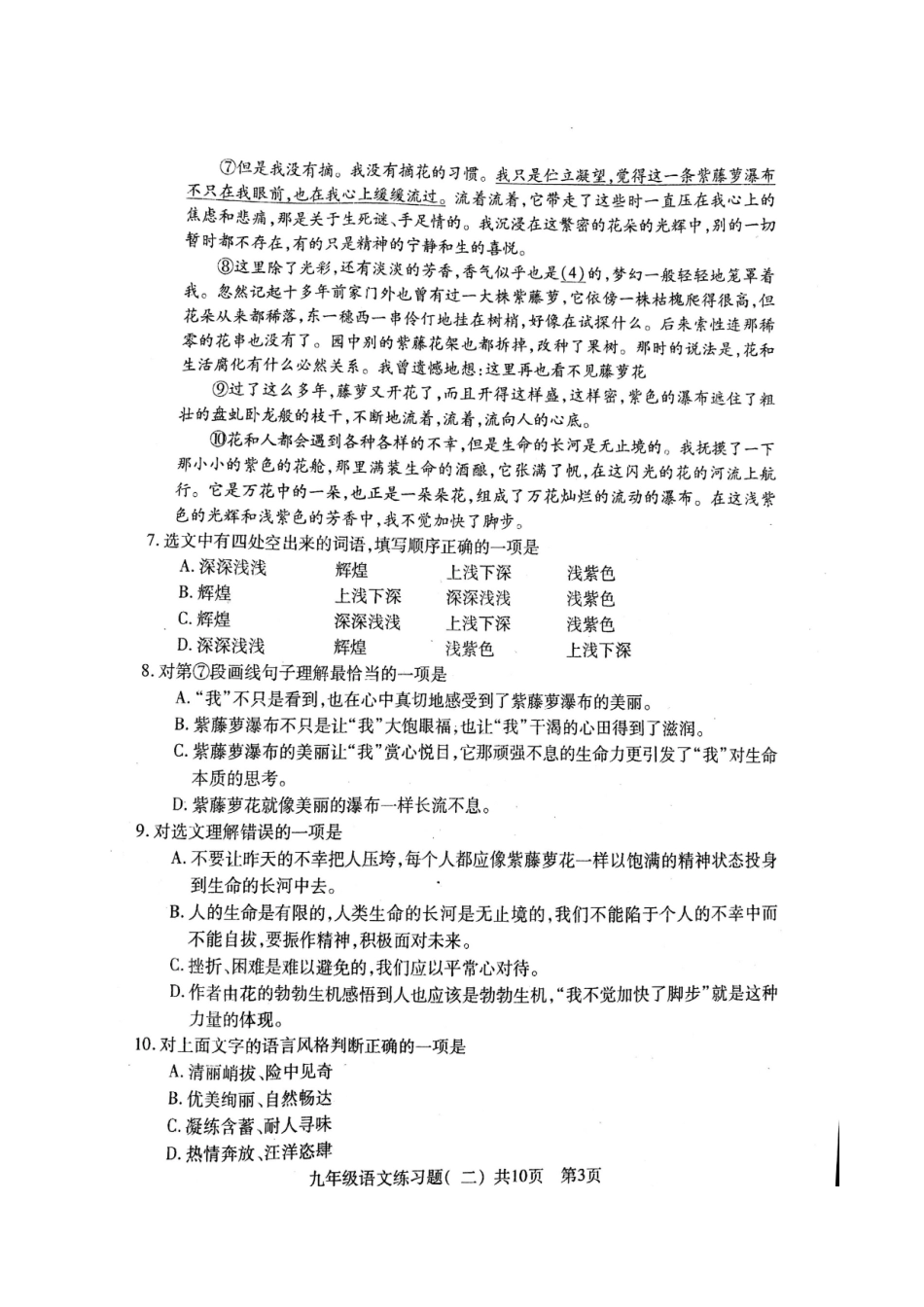 山东省泰安市岱岳区九年级语文第三次模拟试卷试卷_第3页