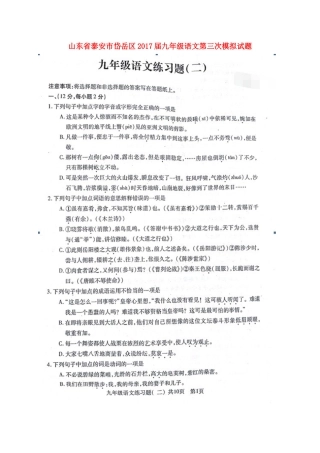 山东省泰安市岱岳区九年级语文第三次模拟试卷试卷