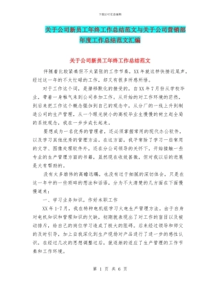 关于公司新员工年终工作总结范文与关于公司营销部年度工作总结范文汇编