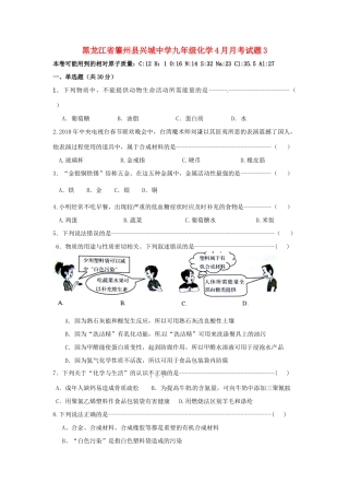 九年级化学4月月考试卷3试卷