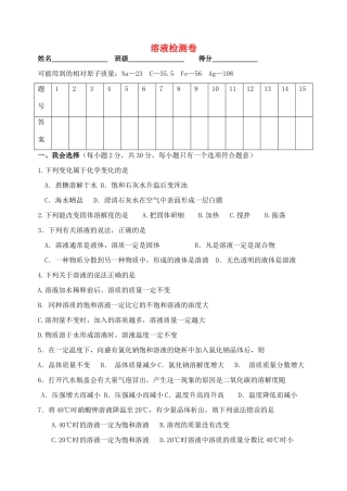 九年级化学下册 第九单元 溶液检测卷 新人教版试卷