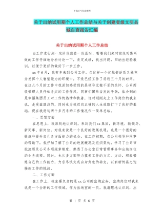关于出纳试用期个人工作总结与关于创建省级文明县城自查报告汇编
