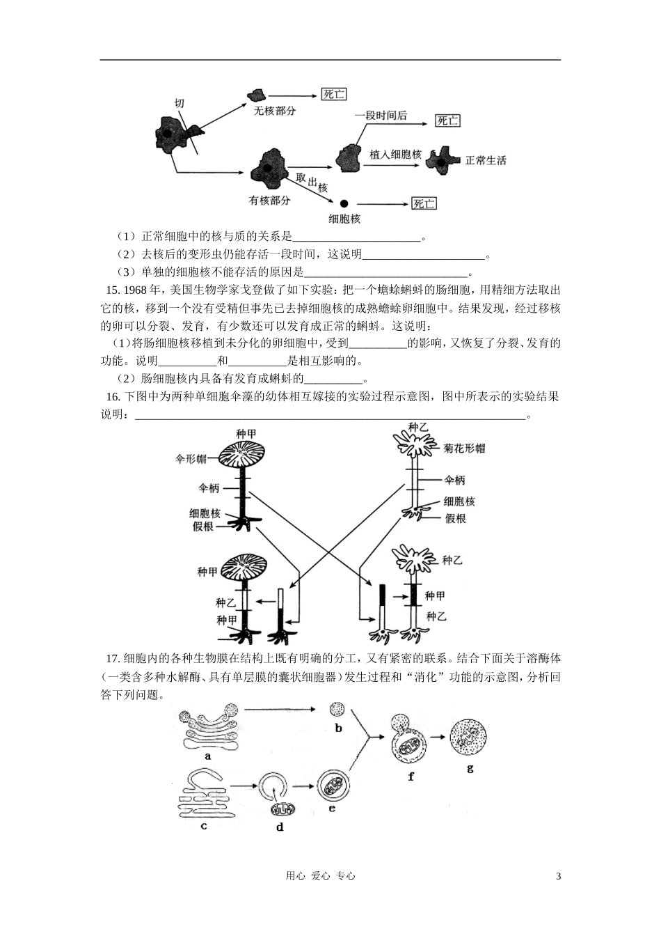 高二数学寒假专题——细胞的结构和功能同步练习 新人教版_第3页